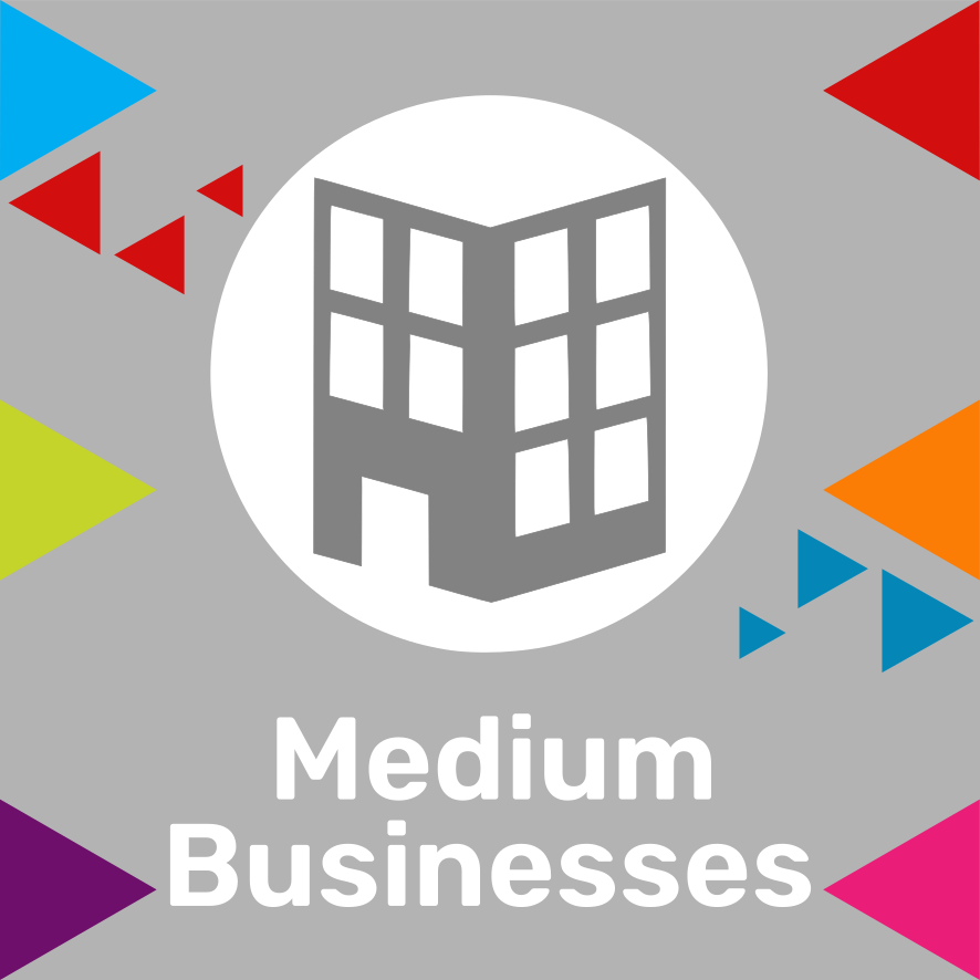Medium Businesses